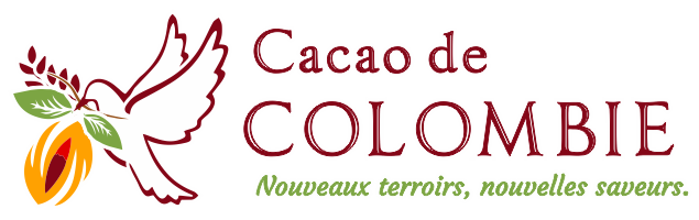 Cacao de Colombie